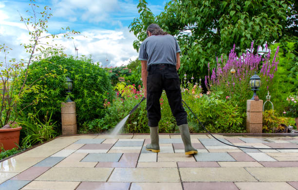 Best Sidewalk and Walkway Cleaning  in Iowa Park, TX